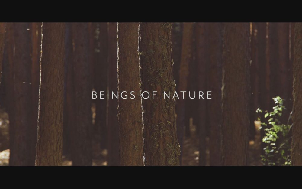 trailer-video-danza-zukdance-beings-of-nature