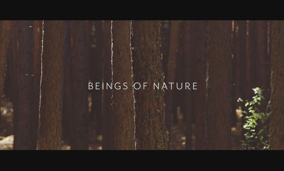 trailer-video-danza-zukdance-beings-of-nature